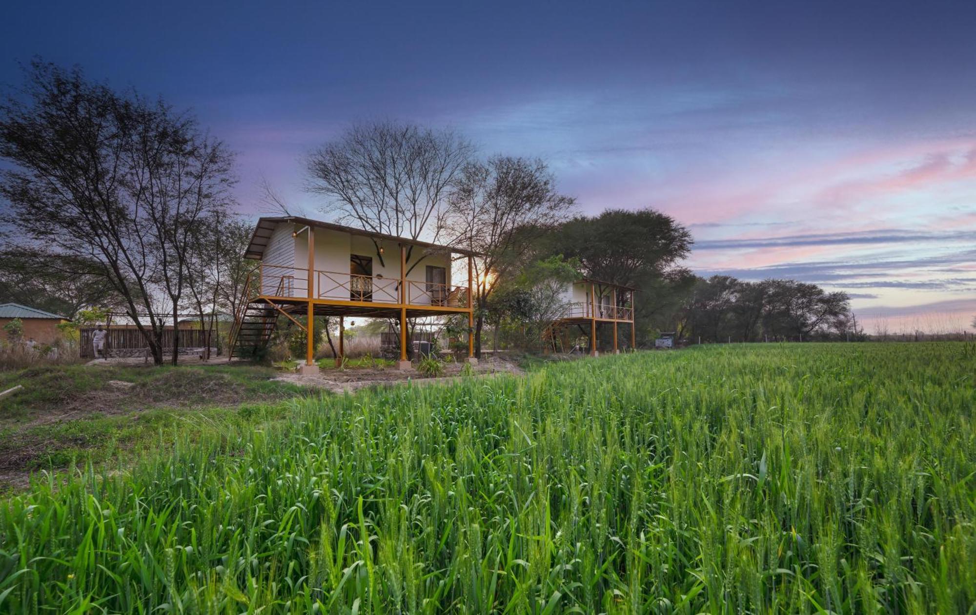 Bagh Serai - Rustic Cottage With Private Pool 사와이 마도푸르 외부 사진